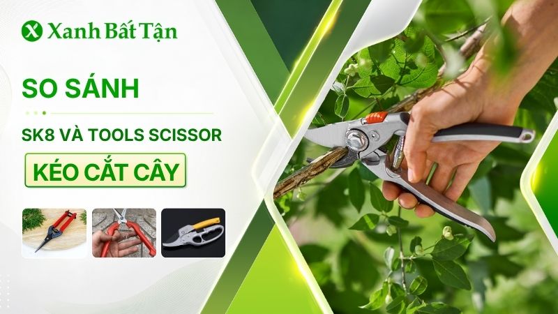 So sánh kéo cắt cành cây SK8 và Tools Scissor