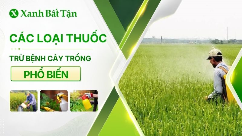 Thuốc trừ bệnh cây trồng