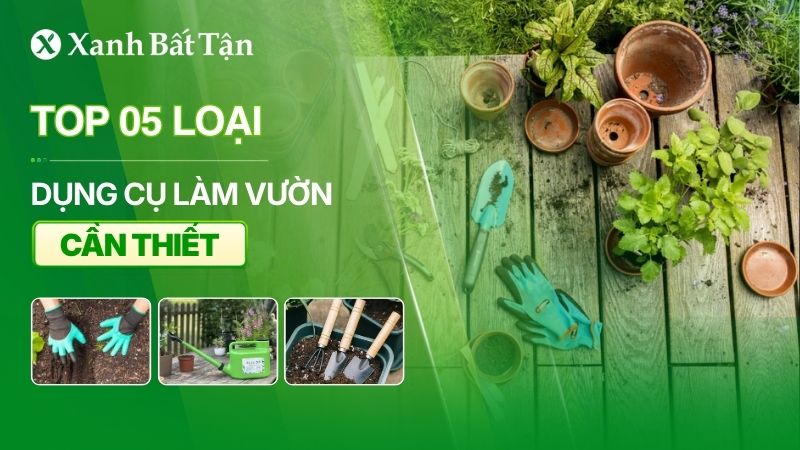 Top 05 dụng cụ làm vườn cần thiết khi trồng hoa Hồng