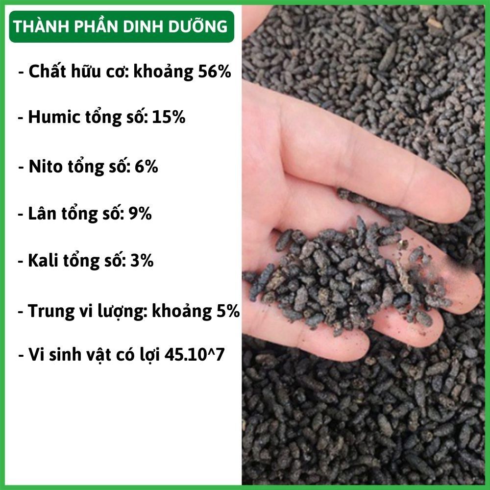 Thành Phần Của Phân Dơi