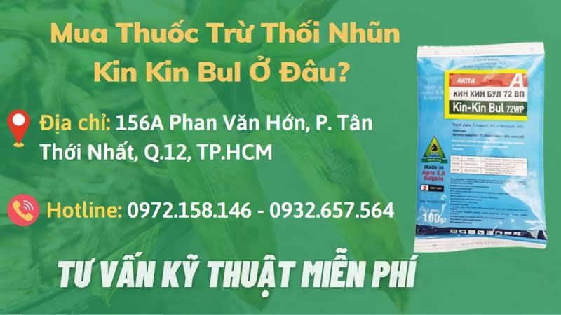 Chỗ mua (bán) thuốc trừ thối nhũn lan kin kin bul 72wp