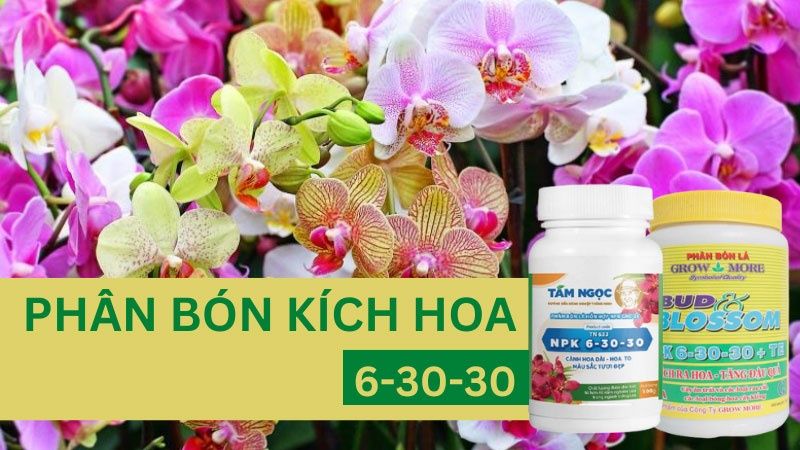 Phân Bón Kích Hoa NPK 6-30-30