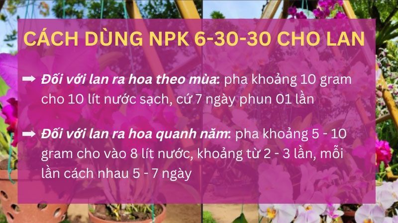 Cách Sử Dụng NPK 6-30-30 Kích Ra Hoa Cho Lan