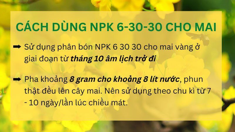 Cách Sử Dụng NPK 6-30-30 Kích Ra Hoa Cho Mai Vàng