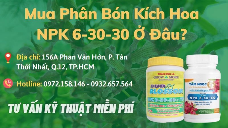 Mua Phân Bón Kích Hoa NPK 6-30-30 Tại Xanh Bất Tận Uy Tín, Chất Lượng, Giá Tốt