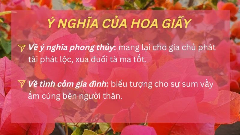 Ý Nghĩa Của Hoa Giấy