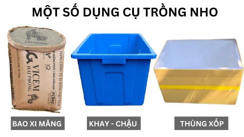 Dụng Cụ Trồng Nho