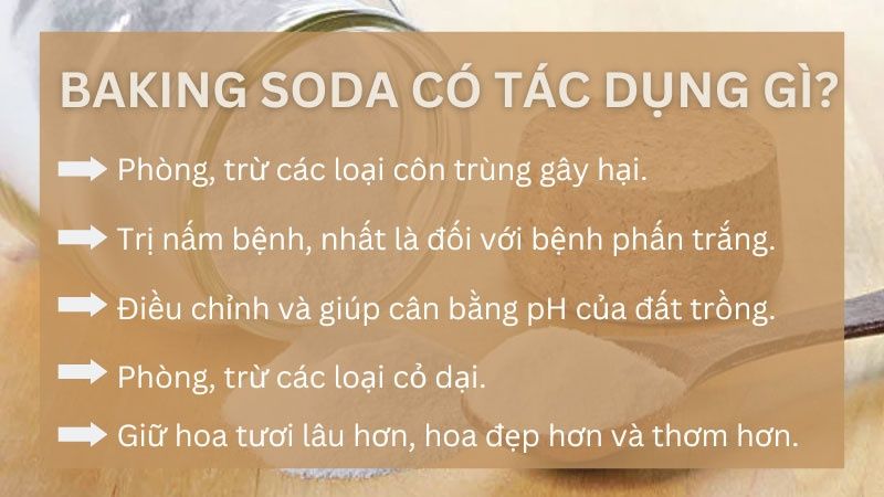 Công Dụng Của Baking Soda