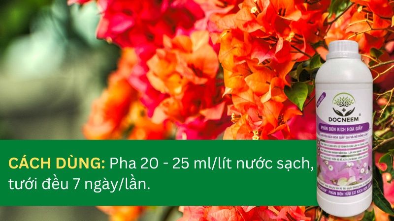 Phân bón kích hoa giấy docneem