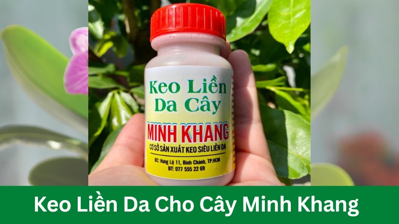 Keo liền da cho cây minh khang