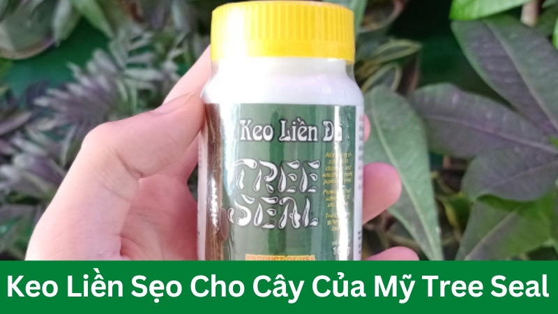 Keo liền sẹo cho cây của mỹ tree seal