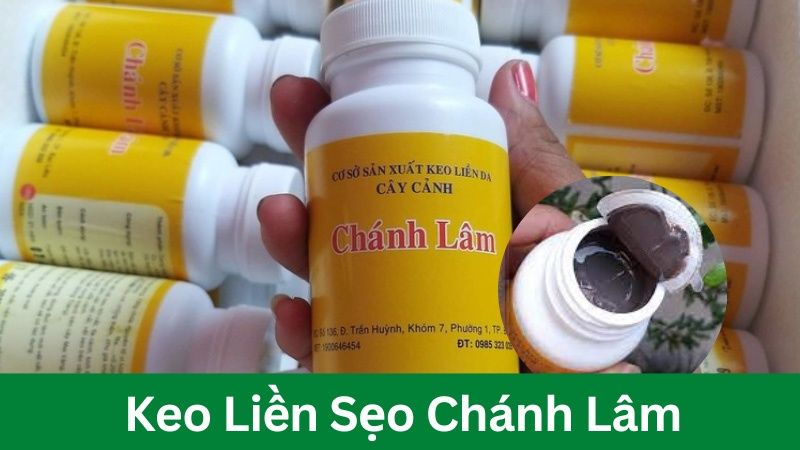 Keo liền sẹo cây cảnh chánh lâm