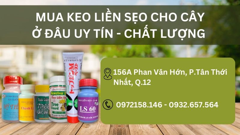 Mua keo liền sẹo cho cây ở đâu