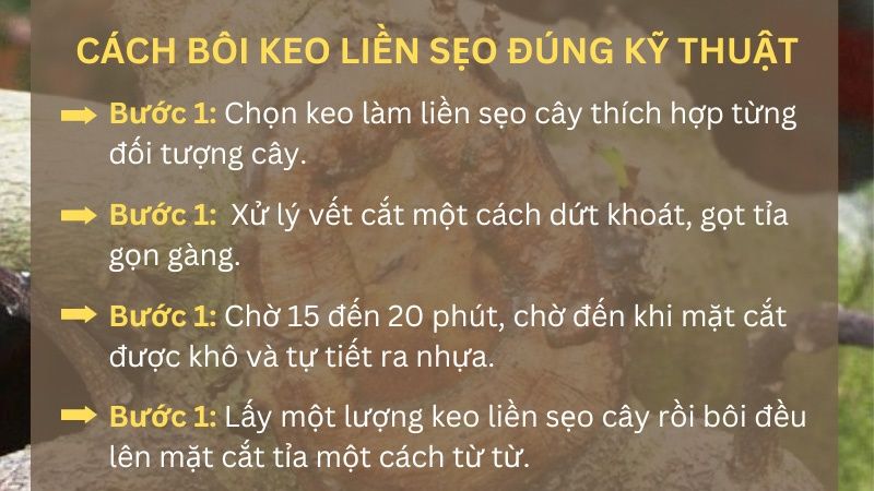 Cách bôi thuốc liền sẹo cho cây