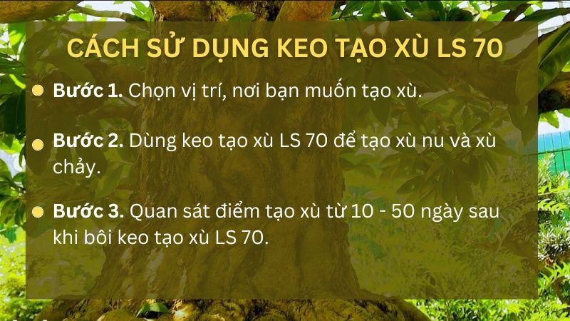 Tạo xù cho mai vàng bằng keo tạo xù LS 70