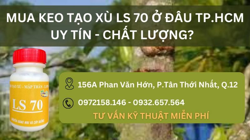 Mua keo tạo xù cho mai ở đâu