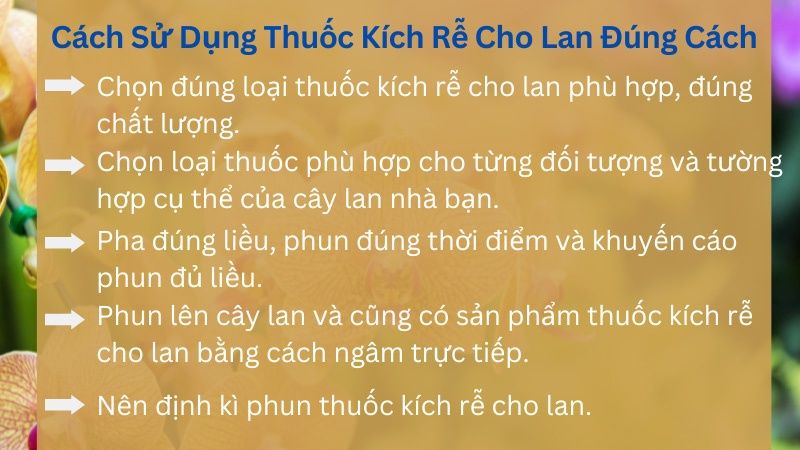 Cách sử dụng thuốc kích rễ cho lan đúng cách