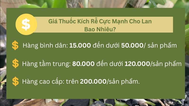 giá thuốc kích rễ cho lan bao nhiêu