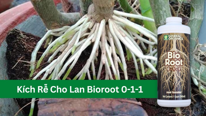 thuốc kích rễ lan bioroot 0-1-1