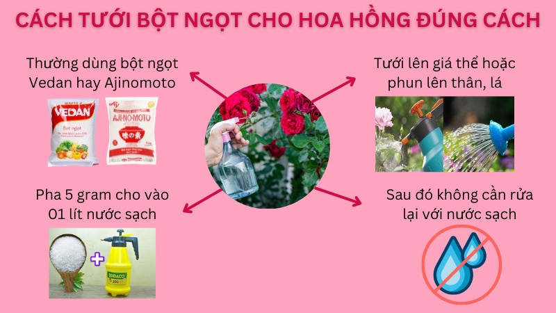 Cách tưới bột ngọt (mì chính) cho hoa hồng