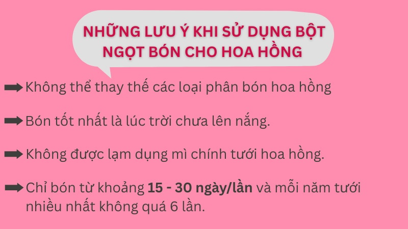 Những lưu ý khi dùng bột ngọt bón cho cây hoa hồng