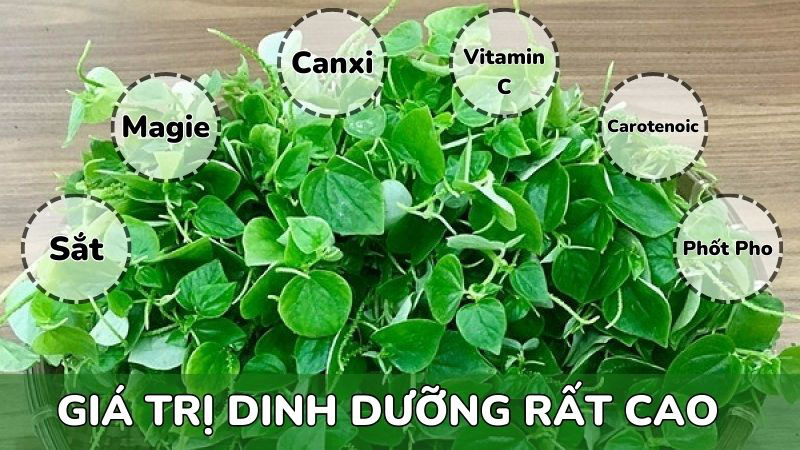 những-lí-do-bạn-nên-trồng-rau-càng-cua-tại-nhà