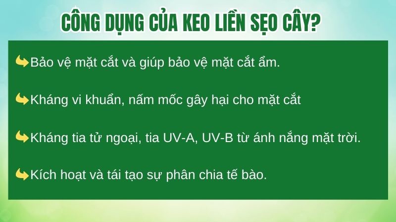 công-dụng-của-keo-liền-sẹo-cho-cây