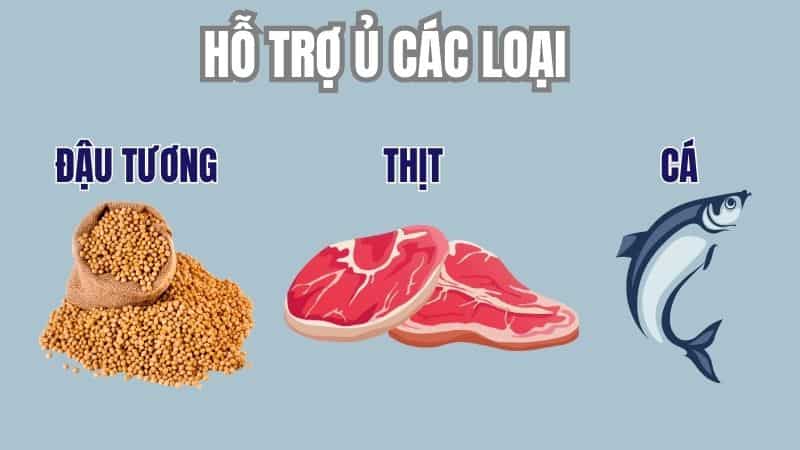 Emic hỗ trợ ủ thịt cá đậu tương