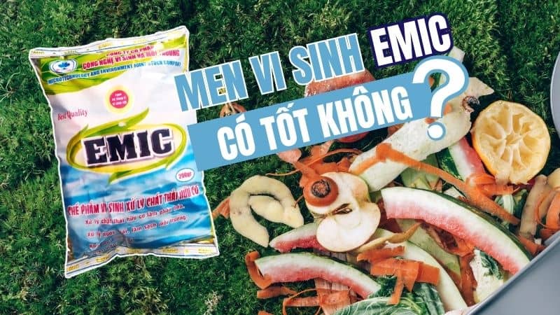 Men vi sinh emic có thật sự tốt không?