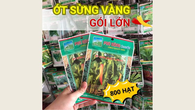 Hạt giống ớt sừng vàng Châu Phi tại Xanh Bất Tận