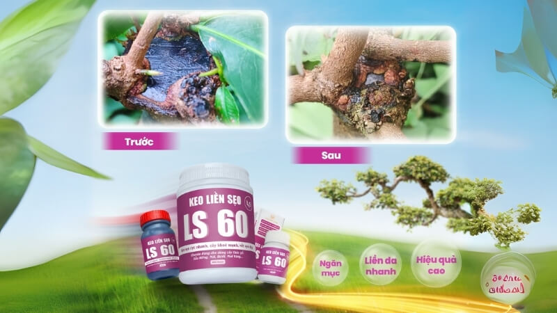 Keo liền sẹo LS60 cho đào
