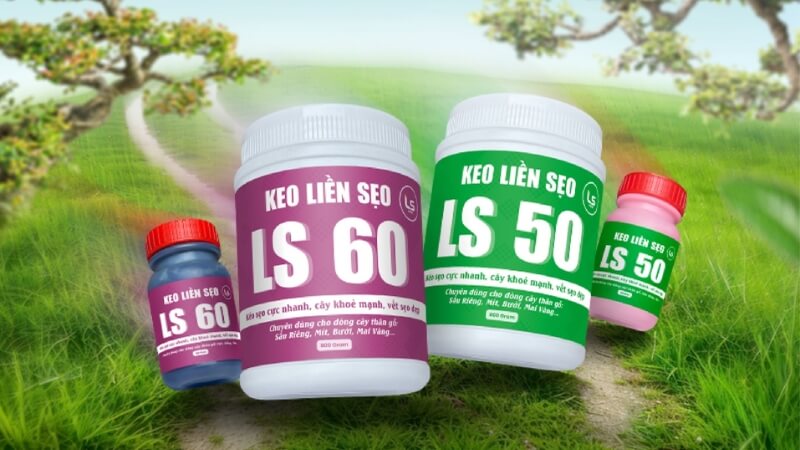 keo liền sẹo LS50 và LS60 là lựa chọn hoàn hảo cho cây đào