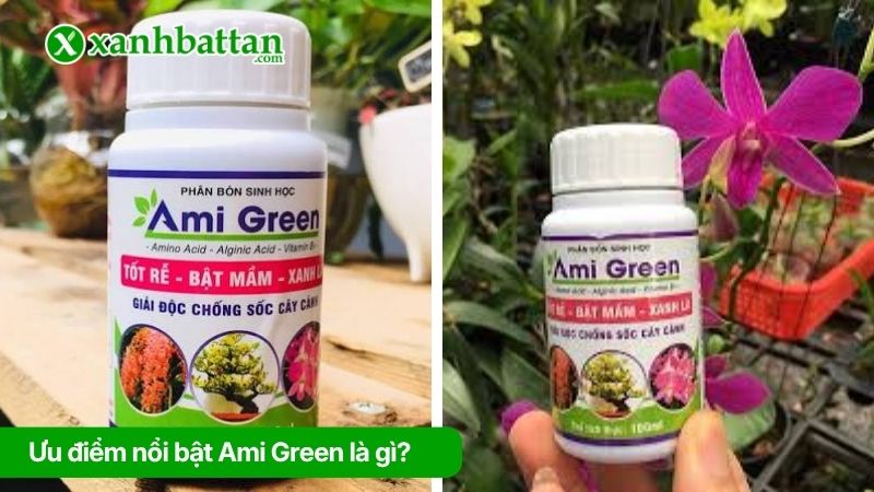 Ưu điểm nổi bật của sản phẩm