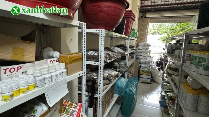 Địa chỉ mua phân bón sinh học Ami Green giá tốt tại TP.HCM?