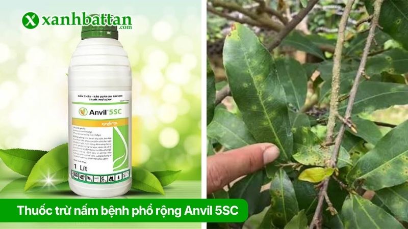 Thuốc trừ nấm bệnh phổ rộng Anvil 5SC