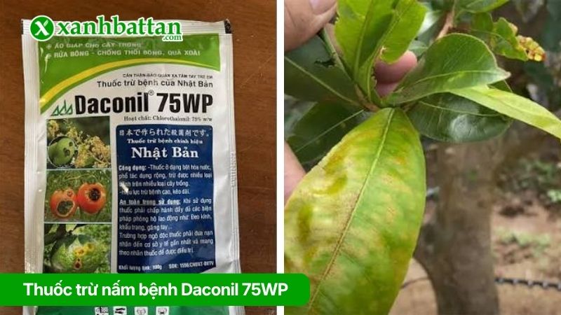 Thuốc trừ nấm bệnh Daconil 75WP Nhật Bản
