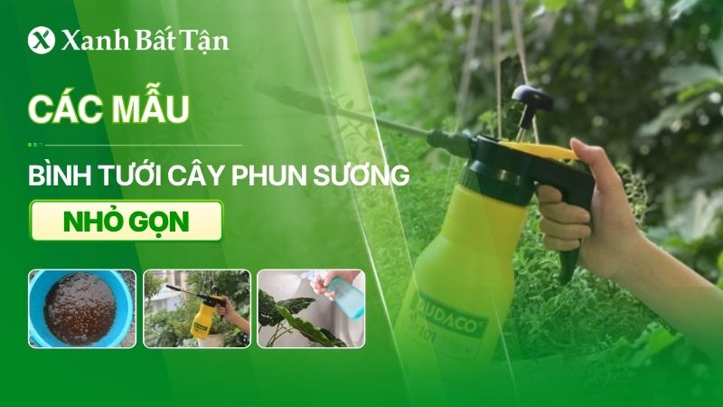 Các mẫu bình tưới cây phun sương hiện đại, nhỏ gọn