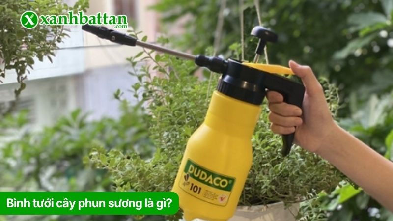 Bình tưới cây phun sương là gì? Đặc điểm nổi bật