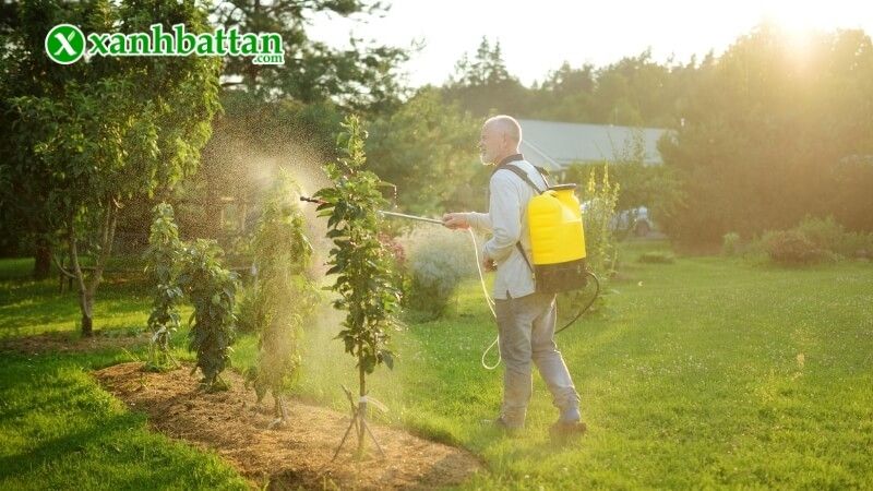 Cách sử dụng bình tưới cây cảnh đúng cách