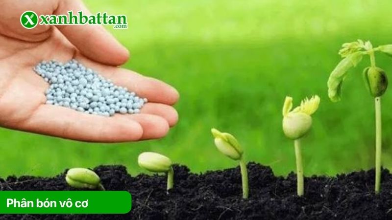 Phân bón vô cơ là gì?
