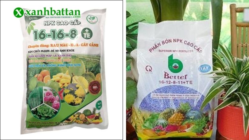 Bón phân NPK 16-16-8+TE hoặc NPK 16-12-8-11