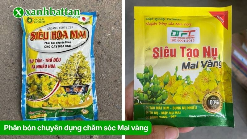 Nhóm 3: Phân bón chuyên dụng cho Mai vàng