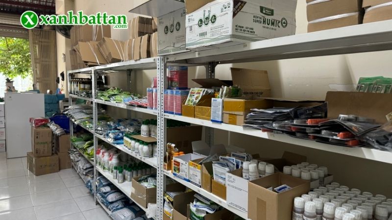 Xanh Bất Tận - Địa chỉ mua phân bón chăm sóc Mai vàng uy tín tại TP.HCM