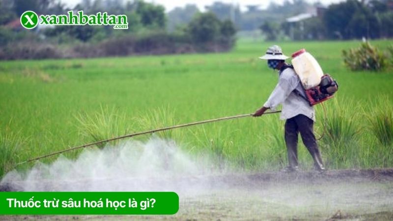 Thuốc trừ sâu hoá học là gì?