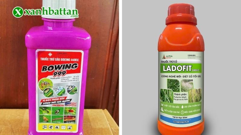 Phân loại thuốc trừ sâu theo phổ tác động