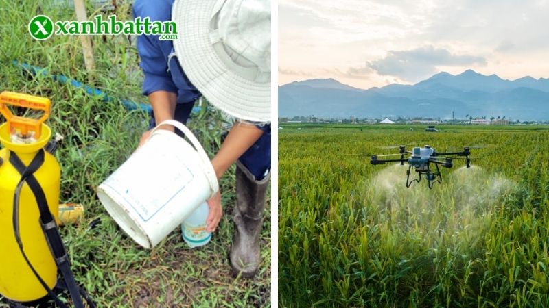 Cách sử dụng thuốc trừ sâu hóa học an toàn, hiệu quả