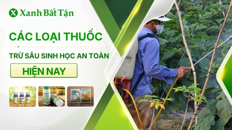 Các loại thuốc trừ sâu sinh học an toàn hiện nay