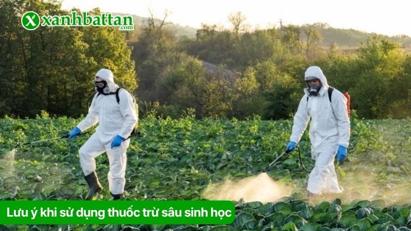 Lưu ý khi sử dụng thuốc trừ sâu sinh học