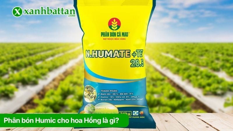 Humic là gì? Công dụng đối với hoa Hồng?
