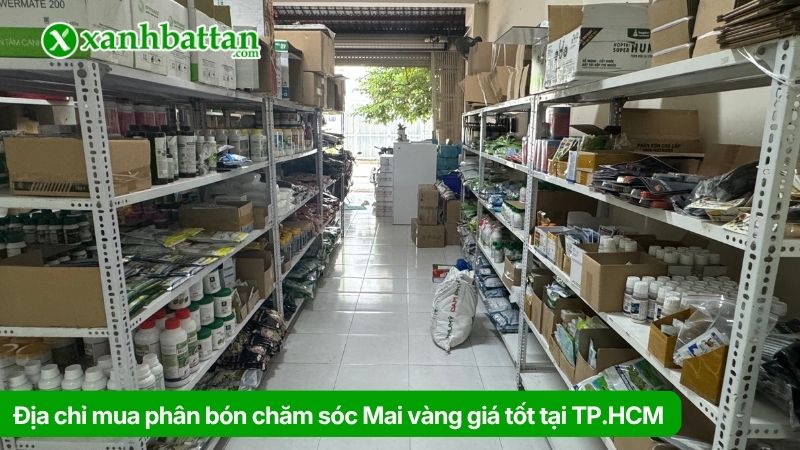 Xanh Bất Tận - Địa chỉ mua phân bón chăm sóc Mai vàng giá tốt tại TP.HCM